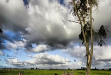 玩加电竞官网：赵继伟16+9+9弗格34分 辽宁客胜新疆总分3-0.