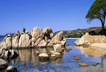 玩加电竞官网：黑龙江省体育局公示：给予殷琦等11名同志记功奖励、给予王婧紫仟等5名同志嘉奖奖励澎湃新闻.